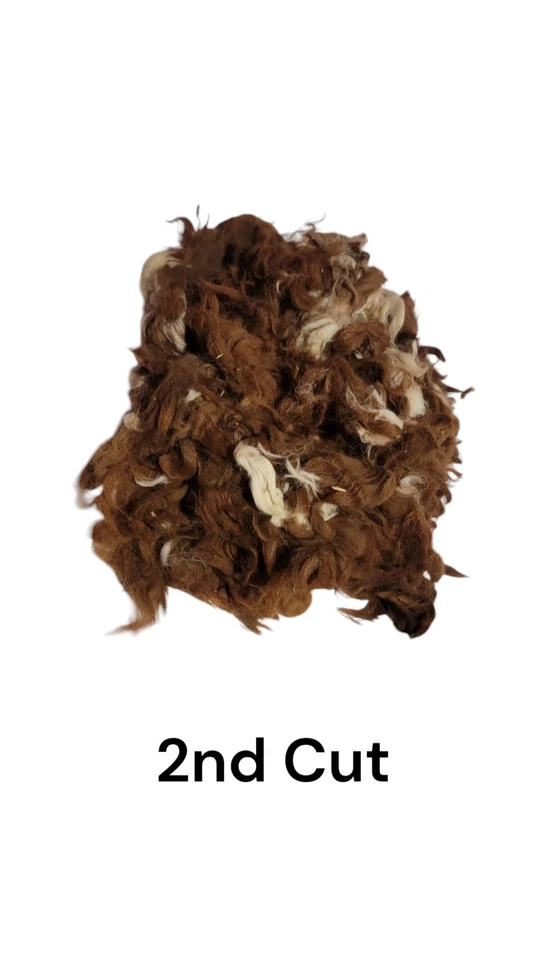 Fibra de alpaca marrón medio crudo 1 libra natural y sin lavar (2do corte) Foto 1 de 4