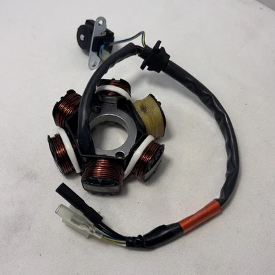 Genuino Buddy 125cc 150cc Estator Comp C12210200001 - Nuevo OEM 6 polos Foto 1 de 4
