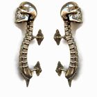 2 LARGE SKULL handle DOOR PULL spine BRASS old style polished  plate 13" long B