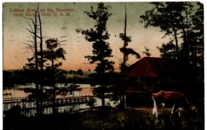 Postkarte 1910 Cottage Grove on Big Reservoir Portage Lakes Akron Ohio alt 0854 - Bild 1 von 2