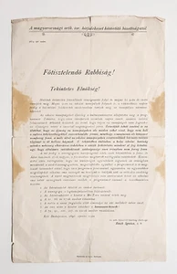 Judíos húngaros raros en el boletín sobre el judaísmo neológico 1889 - Imagen 1 de 1