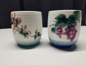 Ceramic Asian Tea Cup Set of 2 Floral / Fruit Pattern no Handles - Picture 1 of 7
