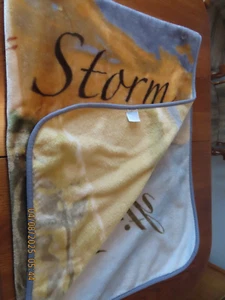Shavel Home Produkte "Glaube bringt Frieden mitten im Sturm" ~ 60" x 80" - Bild 1 von 7