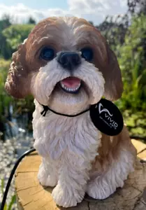 Vivid Arts - Sitting Shih Tzu Dog - Brown/White - Picture 1 of 1