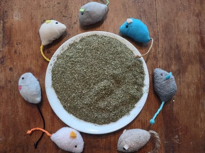 2 oz Catnip fine ground comes with 1 plush mouse cat toy (color may vary) - Image 1 of 4