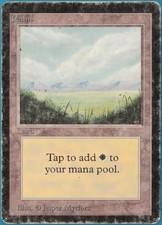 Plains (A Light) Beta VERY HEAVILY PLD Basic Land MTG CARD (ID# 248346) ABUGames