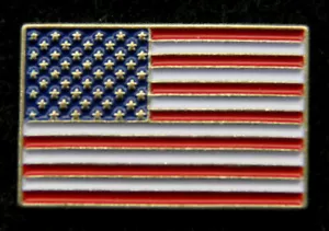 SOMBRERO DE SOLAPA MILITAR BANDERA DE ESTADOS UNIDOS PIN UP ANTIGUA GLORIA EJÉRCITO DE ESTADOS UNIDOS MARINES MARINA FUERZA AÉREA USCG - Imagen 1 de 24
