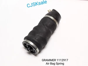 GRAMMER 1112917 Air Bag Spring (NEW). - Picture 1 of 10