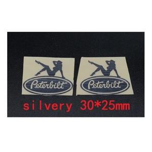 Silver Metal Paste Stickers for Tamiya 1/14 RC Truck King Hauler 56301 56344 - Picture 1 of 11