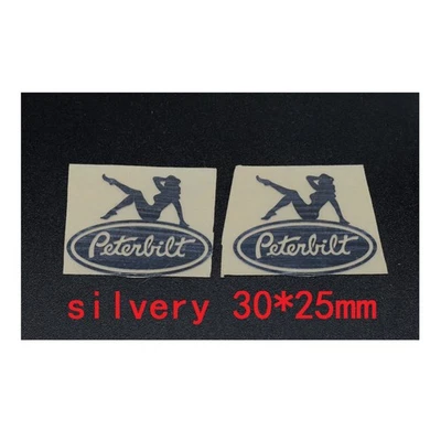 Silver Metal Paste Stickers for Tamiya 1/14 RC Truck King Hauler 56301 56344 - Image 1 of 4