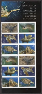 Scott #5870a (5865-70) Sea Turtles Names Plate Block of 12 Forever Stamps - MNH - Picture 1 of 1
