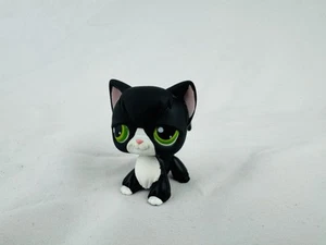 LPS #55 LITTLEST PETSHOP ORIGINAL AUTHENTIC CHAT ANGORA CAT ANGORA HASBRO - Picture 1 of 4