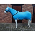Ruggles Lycra Body Suit for Horse/Pony - Tail Sleeve, Sealed Seams, Anti Rub Rug