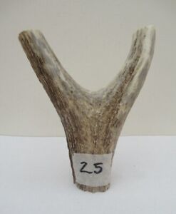 RED DEER STAG THUMBSTICK HANDLE no.25 FOR WALKING STICK MAKING/CRAFTS 
