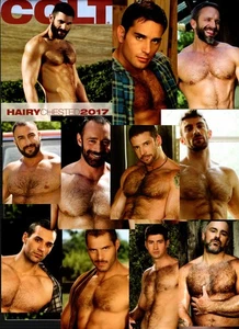 COLT CALENDAR 2017 HAIRY CHESTED MEN X12! BOB HAGER SAM SHADON BERKE BANKS BRONS - Picture 1 of 1