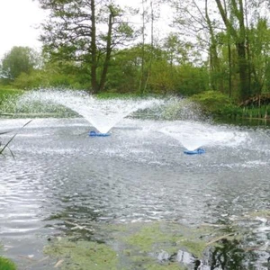 Floating Pond Fountains - Picture 1 of 3