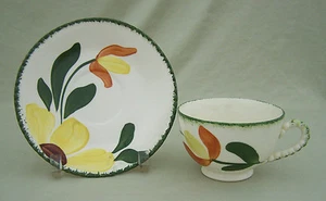 Blue Ridge Southern Potteries Mountain Meadow Tasse & Untertasse handbemalt - Bild 1 von 2