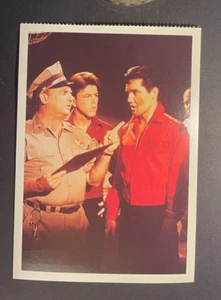 Elvis Presley in Girl Happy MGM 1965 - Postcard - Picture 1 of 2