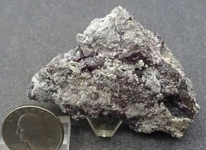 Cuprite Crystals, Milpillas Mine, Mexico- Mineral Specimen for Sale - Picture 1 of 6