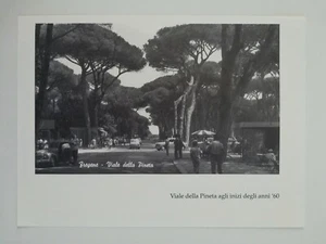 Ritaglio Foto Illustrazione FREGENE Viale della Pineta Inizi Anni '60 - Picture 1 of 1