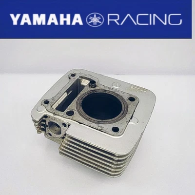 2001 2000-2007 Yamaha TTR125 TTR 125 L Cylinder JUG Barrel 54mm 5HH-E1310-10-C0 - Image 1 of 4