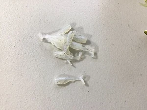 1,75 IN CEBO ÉPICO PRESA MIERDA PERCA WALLEYE LUBINA PESCA ENVÍO GRATUITO 100 ct - Imagen 1 de 1