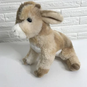 Douglas Cuddle Toys Plush BABY GOAT Dandie Stuffed Animal 4604 - Picture 1 of 8