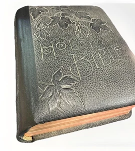 1891 Holman bildhafte Heilige Bibel mit Illustrationen selbsterklärend - Bild 1 von 24