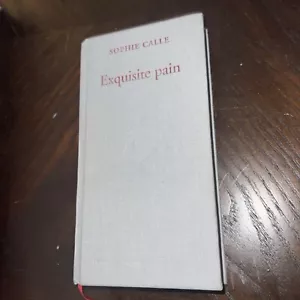 RARE Sophie Calle, Exquisite Pain, 2005, Thames & Hudson, eng, NF, Photography - Foto 1 di 16
