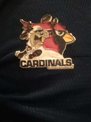 TAZ ARIZONA CARDINALS LOONEY TUNES Vintage NFL Football MAGNET Standings Board Cover