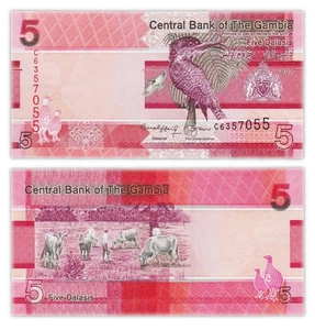 5 DALASIS 2023 GAMBIA / GAMBIA [NEU / UNC] P37 - Bild 1 von 1
