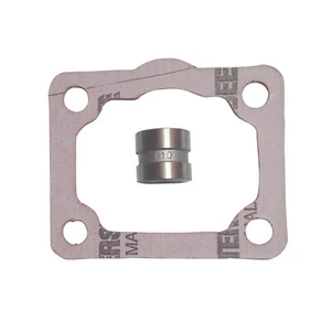855 Small Cam and Big Cam # 10 Fuel Button w/Gasket For Cummins Mechanical Pump - Picture 1 of 2