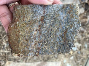 Dinosaur Bone Slab  - Picture 1 of 6