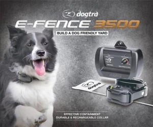 Dogtra E Fence 3500 Rechargeable In Ground 3 Dog Containment System 500 ft. C - Picture 1 of 6