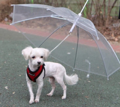 OMBRELLO GUINZAGLIO CANE RIPARO PIOGGIA IMPERMEABILE TRASPARENTE ASCIUTTO CANI - Immagine 1 di 4