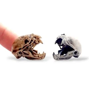Vampire Bat Skull, Open Jaw - cruelty free replica miniature by the Scale Grail - Picture 1 of 7