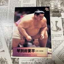 1997Bbm 65 Kotobeppu Yohei Sumo Card