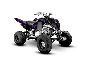 Yamaha Raptor 700 700R Kit Gráficos 2013 2014 2017 a 2025 Calcomanías Pegatinas ATV - Imagen 1 de 11