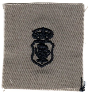 USAF patch (circa 2010-2021) Cloth ABU Chief Nurse Corps Badge - Picture 1 of 1