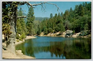 California, Banning & Idyllwild Highway Riverside County FULMOR LAKE - POSTCARD - Picture 1 of 2