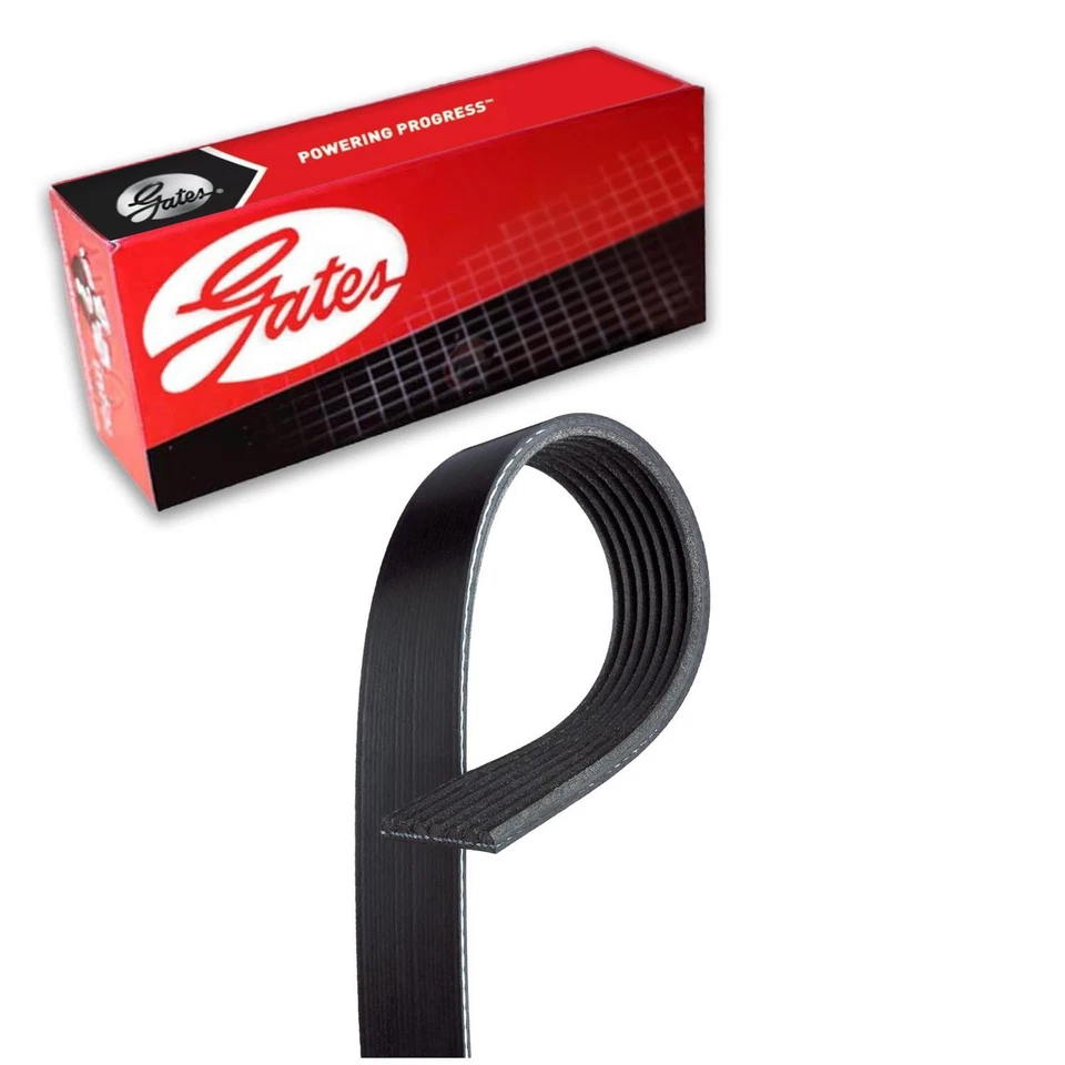 Cinturón Gates Serpentine para Land Rover Discovery 1996-1999 4L V8 GAS Foto 1 de 4