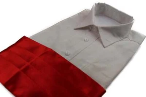 Mens Red Orange Adjustable Cummerbund - Picture 1 of 2
