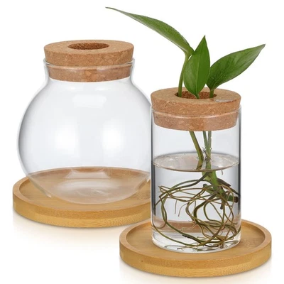  2 Pcs Pflanzenterraium Übertopf Glas Vermehrungsvasen Klare Glasvase - Bild 1 von 4