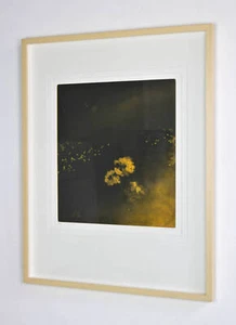 Adrian KELLETT Lantana I - framed original art, dark botanic, abstract, yellow - Picture 1 of 4