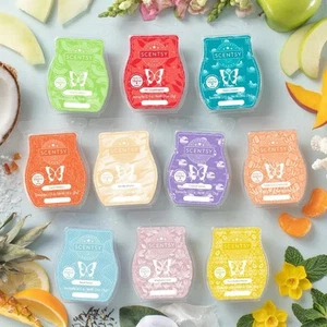 NEW LIMITED EDITION SCENTSY Wax Bars Ready to Post ONLY Pay One Postage - Picture 1 of 1
