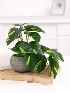 Planta Artificial en Maceta Pequeña Hoja Verde Decoración para Escritorio Oficina o Estante Expositor - Imagen 1 de 6