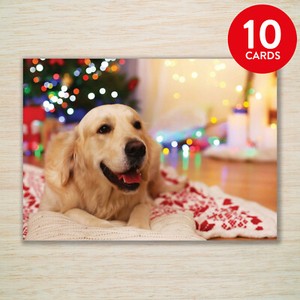 Labrador Christmas Cards & Packs Golden Retriever From the Dog Blank Xmas Cards