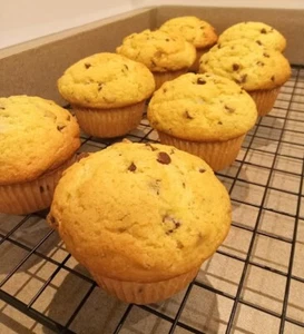 DELICIOUS Homemade Melt-In-Your-Mouth Fluffy Chocolate Chip Muffins 9 Count - Picture 1 of 3