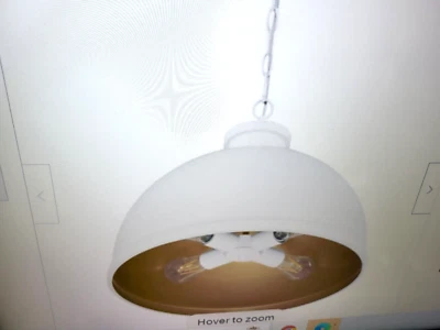 Hampton Bay Tallulah 4-Light White W/Matte Gold Interior Pendant Hanging Light - Image 1 of 4