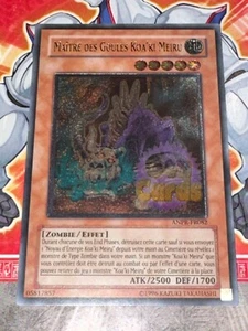 Yu Gi Oh Karte Meister der Ghule Koa'ki Meiru ANPR-FR082 ULTIMATE RARE - Bild 1 von 1